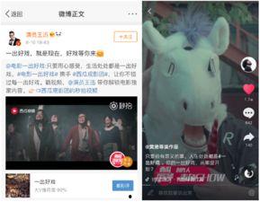 新瓜最新爆料资源视频在线观看,独家资源视频在线观看，揭秘幕后真相  第2张